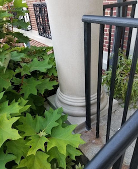 Stone Column Restoration & Repair: Grafton Library